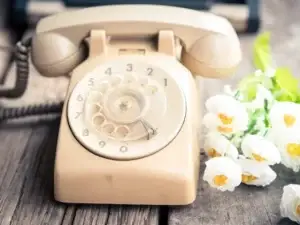 pink rotary phone by flowers